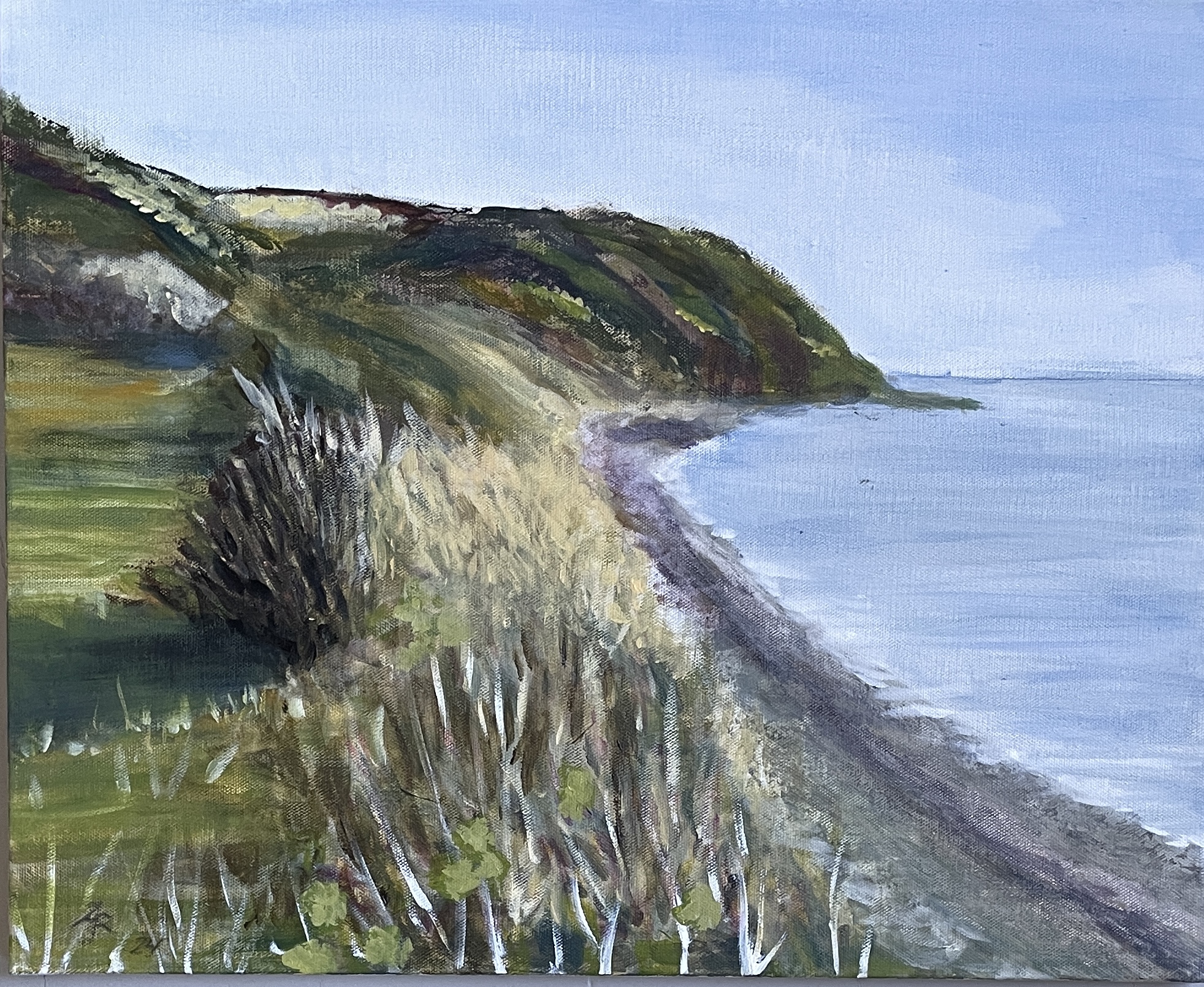 Anders Juel Rasmussen